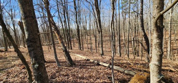 Big Timber Ridge - Phase II Tract 6 - Meigs County, Ohio - 9.3 acres