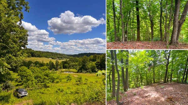 Tract 2 - Albany Woods - Meigs County, Ohio - 5.1 acres