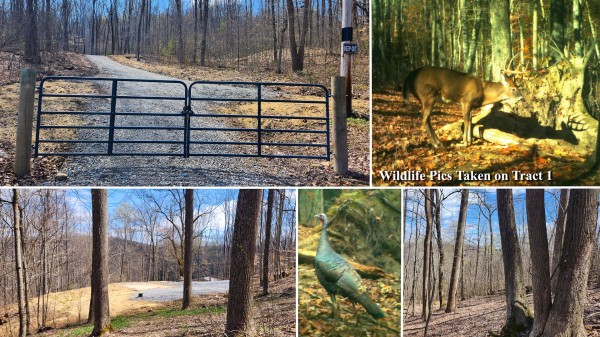 Tract 2 - Pike Lake Getaway - Pike County, Ohio - 10.9 acres