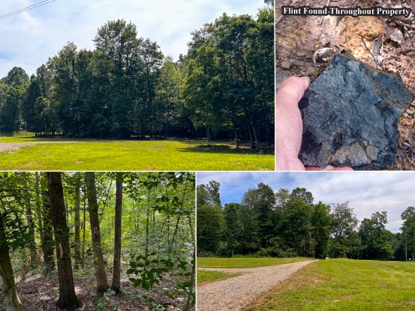 Lot L - The Woods at Flint Ridge - Licking County, Ohio - 5.5 acres