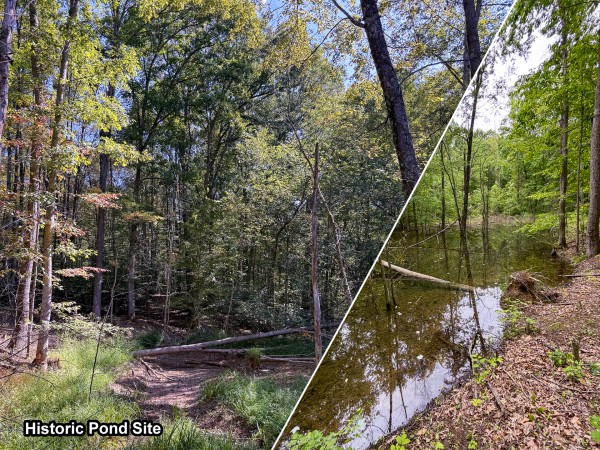 Tract 6 at Wolf Hill Estates - Vinton County, Ohio - 5.0 acres