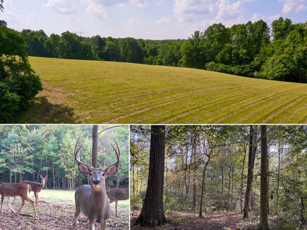 Tract 5 at Wolf Hill Estates - Vinton County, Ohio - 5.1 acres