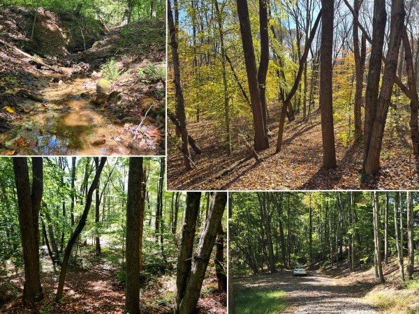 The Ponds at Poplar Ridge – Tract 14 - Gallia County, Ohio - 13.8 acres