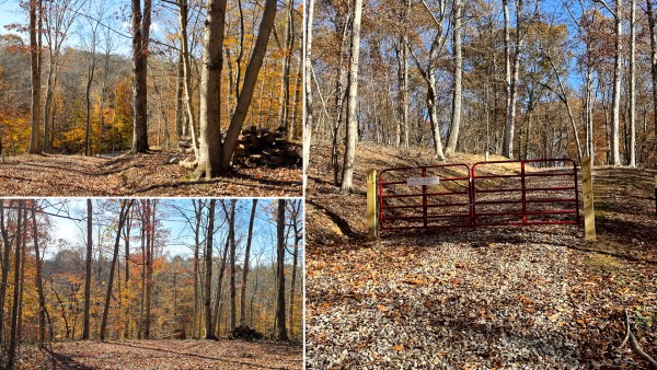 The Ponds at Poplar Ridge – Tract 11 - Gallia County, Ohio - 6.2 acres