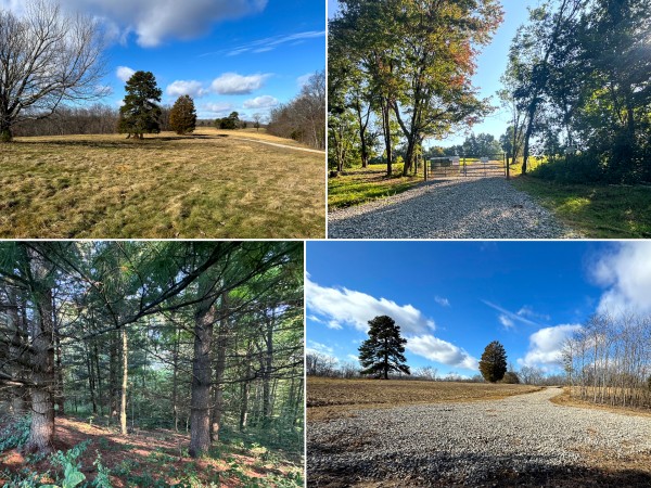 Tract 3 at Skyline Acres - Pike County, Ohio - 5.1 acres