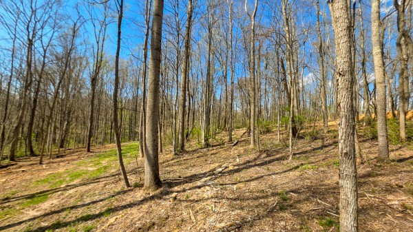 Tract 1 at Muskingum Woods - Muskingum County, Ohio - 5.9 acres