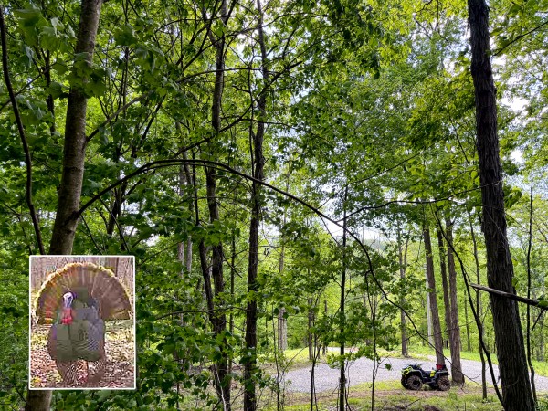 Tract 2 - The Woods at Little Kyger - Gallia County, Ohio - 5.1 acres