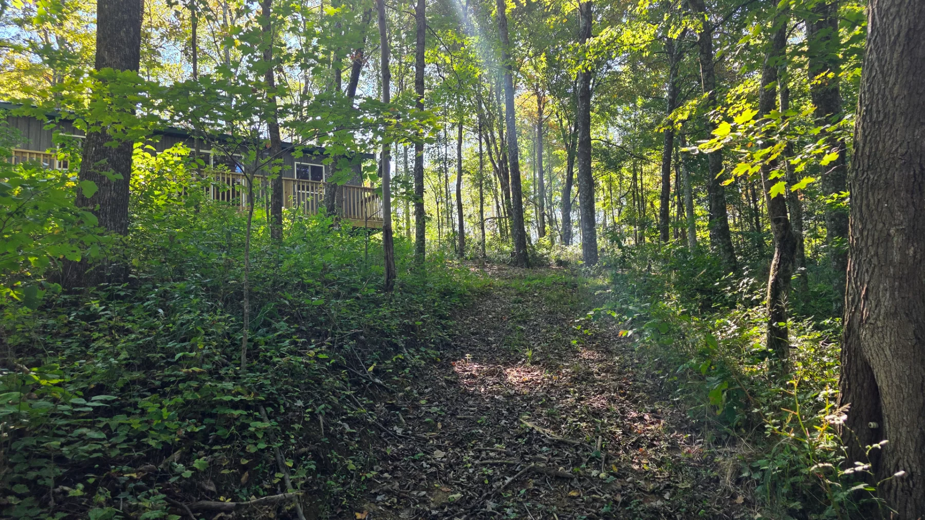 ATV Getaway at Shawnee Woods property photo 10