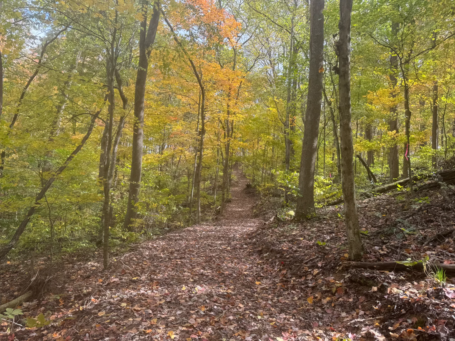 ATV Getaway at Shawnee Woods property photo 11
