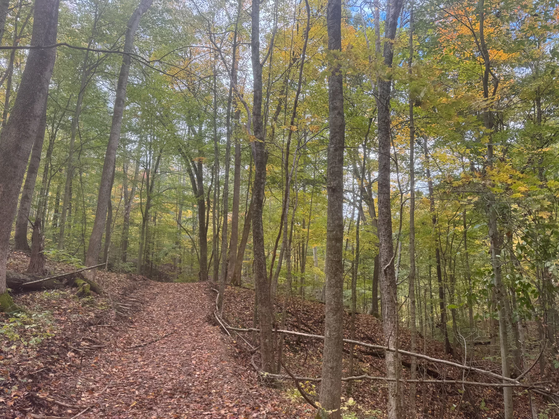 ATV Getaway at Shawnee Woods property photo 13