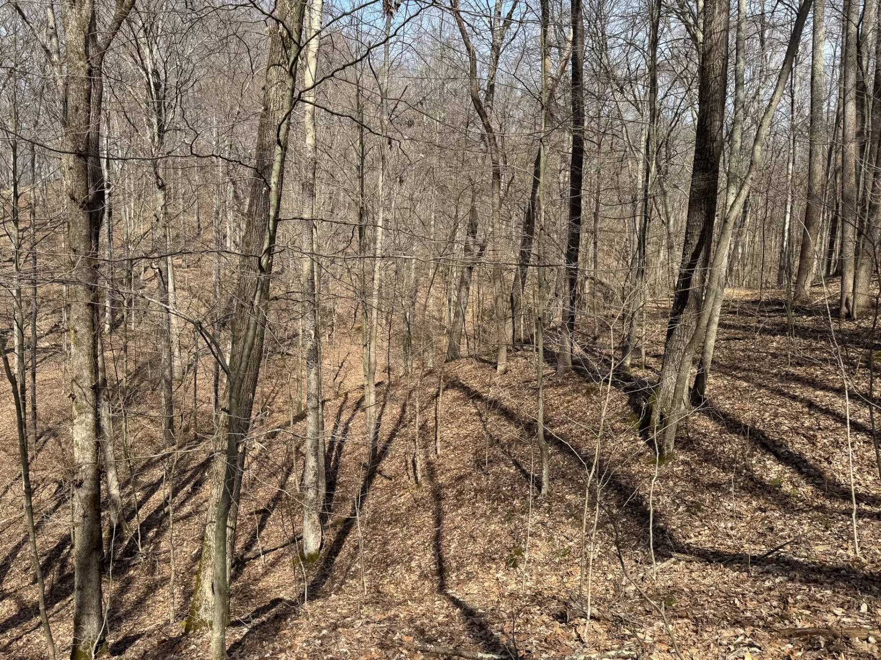 ATV Getaway at Shawnee Woods property photo 14