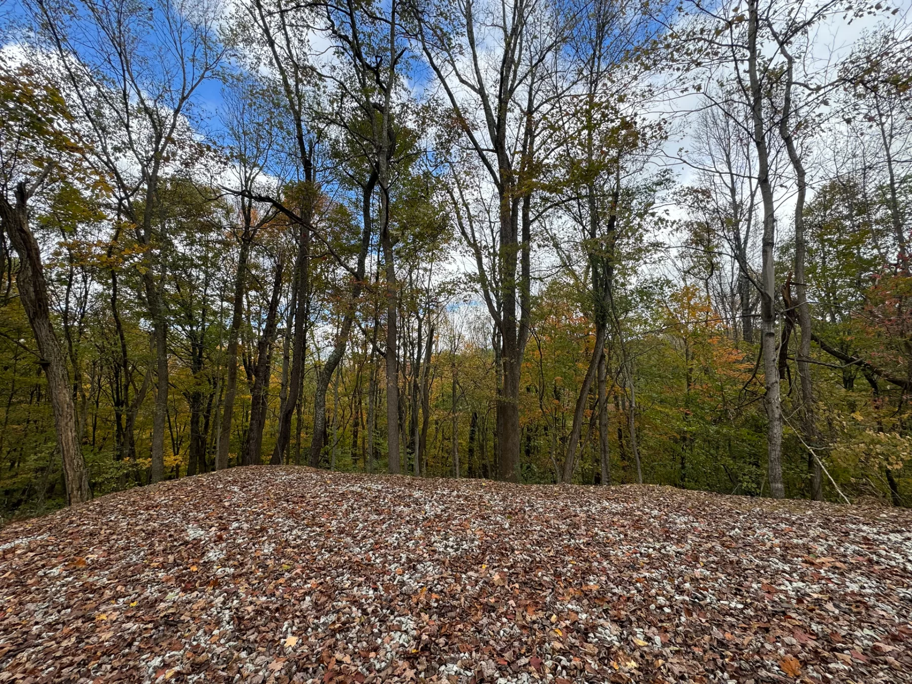ATV Getaway at Shawnee Woods property photo 15