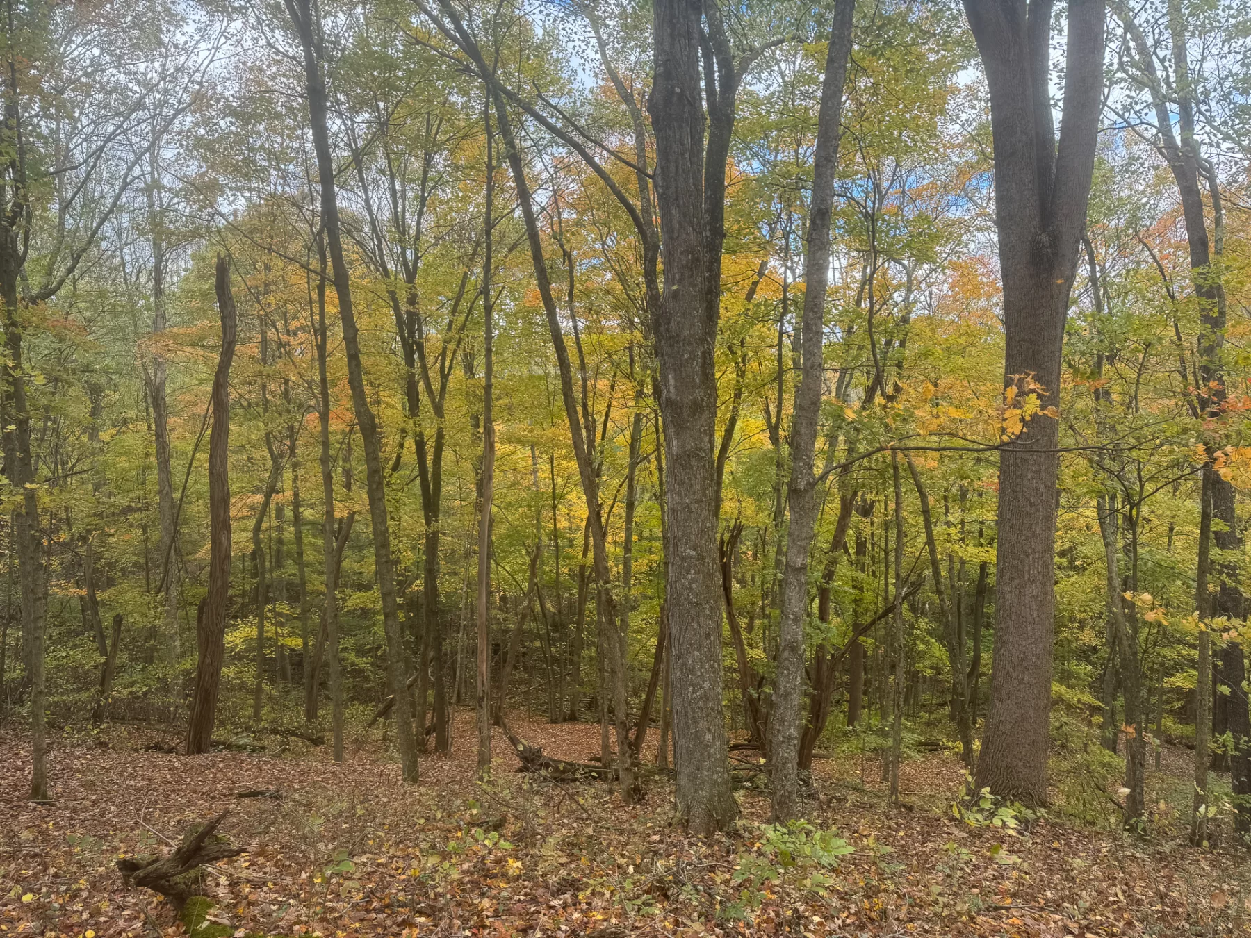ATV Getaway at Shawnee Woods property photo 16