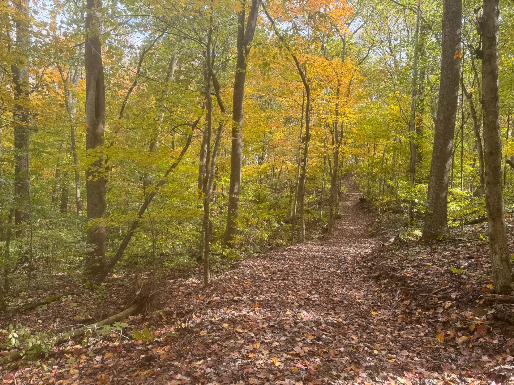 ATV Getaway at Shawnee Woods property photo 19