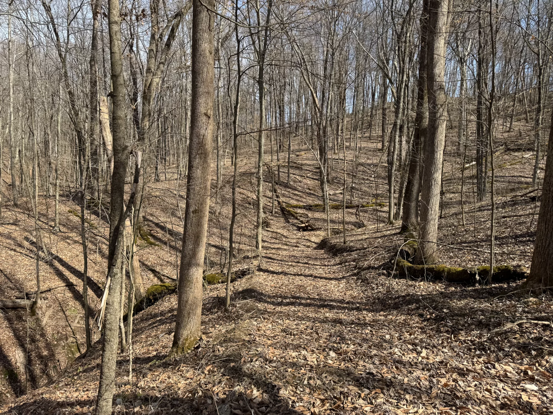 ATV Getaway at Shawnee Woods property photo 23